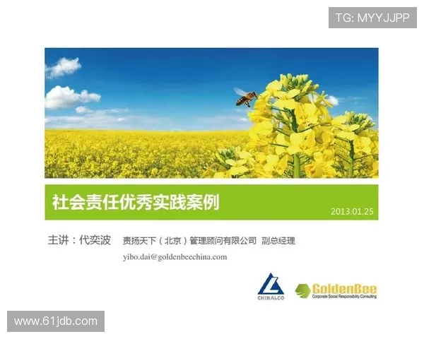 博彩公司的社会责任与可持续发展探讨